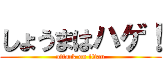 しょうまはハゲ！ (attack on titan)