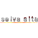 ｓｅｌｖａ ａｌｔａ (rupa-rupa)