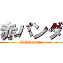 赤パンダ (Sekipanda)