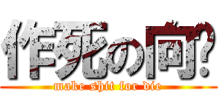 作死の向辉 (make shit for die)