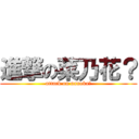 進撃の菜乃花？ (attack on nanoka？)