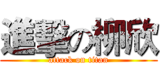 進擊の柳欣 (attack on titan)