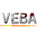 ＶＥＢＡ (Roleplay)