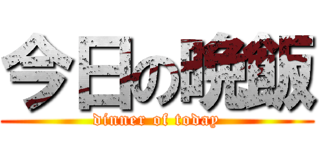 今日の晩飯 (dinner of today)