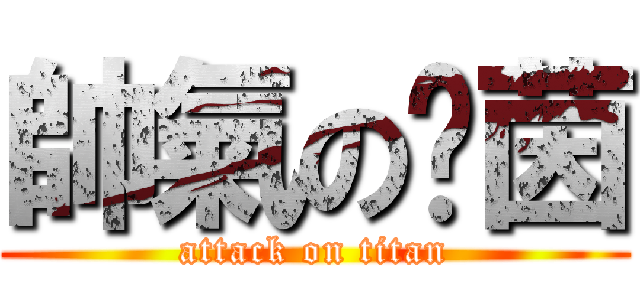 帥氣の玟茵 (attack on titan)