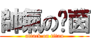 帥氣の玟茵 (attack on titan)