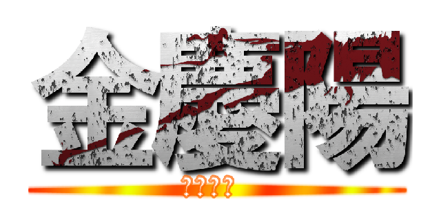 金慶陽 (俺是紳士 )