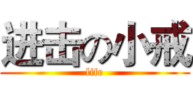 进击の小戒 (life)