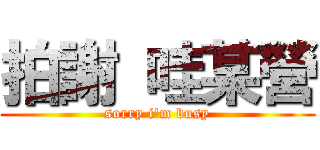 拍謝 哇某營 (sorry i\'m busy)