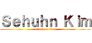 Ｓｅｈｕｈｎ Ｋｉｍ (attack on titan)