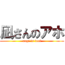 凪さんのアホ (nagi is fool)