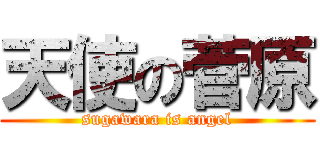 天使の菅原 (sugawara is angel)