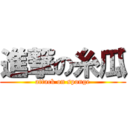 進撃の糸瓜 (attack on sponge)