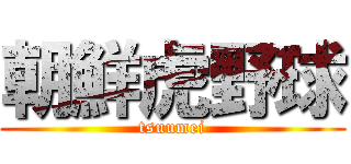 朝鮮虎野球 (tsuumei)
