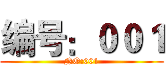 编号：００１ (NO:001)