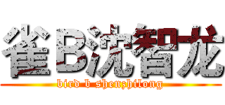 雀Ｂ沈智龙 (bird b shenzhilong)