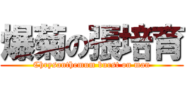 爆菊の張培育 (Chrysanthemum burst on man)