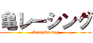 亀レーシング (KameRacing)