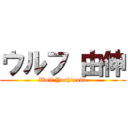 ウルフ 由伸 (Wolf Yoshinobu)