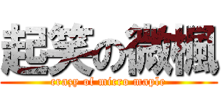 起笑の微楓 (crazy of micro maple)