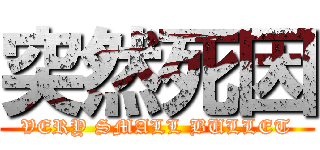 突然死因 (VERY SMALL BULLET)