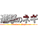 進撃のネギ (attack on Negi)