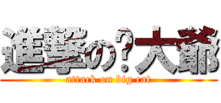 進撃の貓大爺 (attack on big cat)