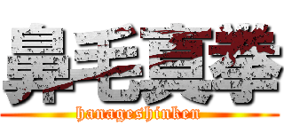 鼻毛真拳 (hanageshinken)