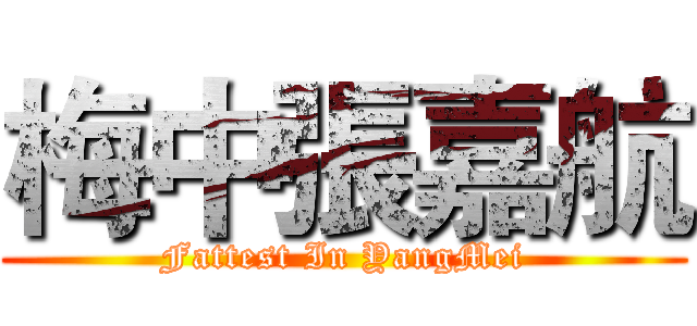 梅中張嘉航 (Fattest In YangMei)