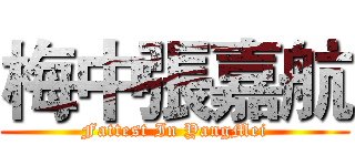 梅中張嘉航 (Fattest In YangMei)