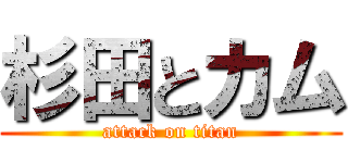 杉田とカム (attack on titan)