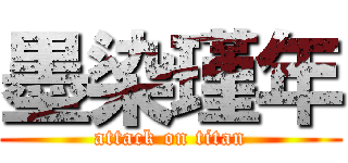 墨染瑾年 (attack on titan)