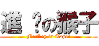 進 擊の猴子 (Monkey in Tapei)