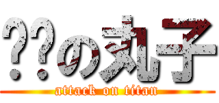 疯癫の丸子 (attack on titan)