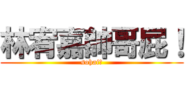 林宥嘉帥哥屁！ (sohai？)