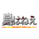 島はねえ (No island)