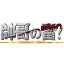 帥哥の雷酱 (attack on titan)