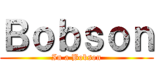 Ｂｏｂｓｏｎ (In a Bobson)