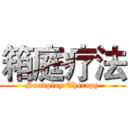 箱庭疗法 (Sandplay Therapy)