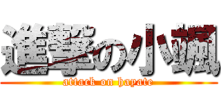 進撃の小颯 (attack on hayate)