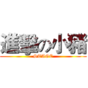進擊の小豬 (STAGE)