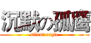 沉默の孤鹰 (silent eagle)