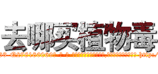 去哪买植物毒 (去哪买植物毒【电-186x2687x6963-Q278180069元-吉-药-业】我们做的是长期生意,靠的是老客户长期支持 http://sngk.net/FjeMNG
)