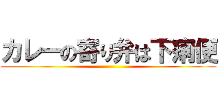 カレーの寄り弁は下痢便 ()