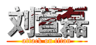 刘萱磊 (attack on titan)