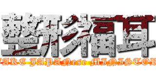 整形福耳 (FAKE JAPANese MINISTOR)