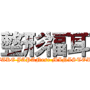 整形福耳 (FAKE JAPANese MINISTOR)