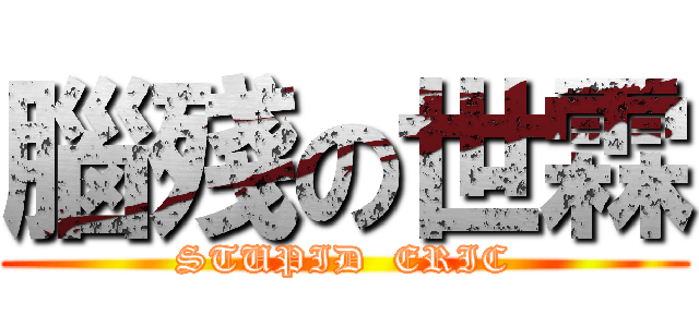 腦殘の世霖 (STUPID  ERIC)