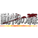 動物の森 (for nintendo)