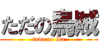 ただの烏賊 (tada no ika)